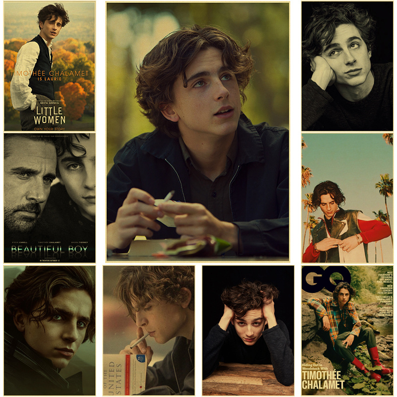 Timothee Chalamet Retro Canvas – Home Bar And Theater recenzja i cena
