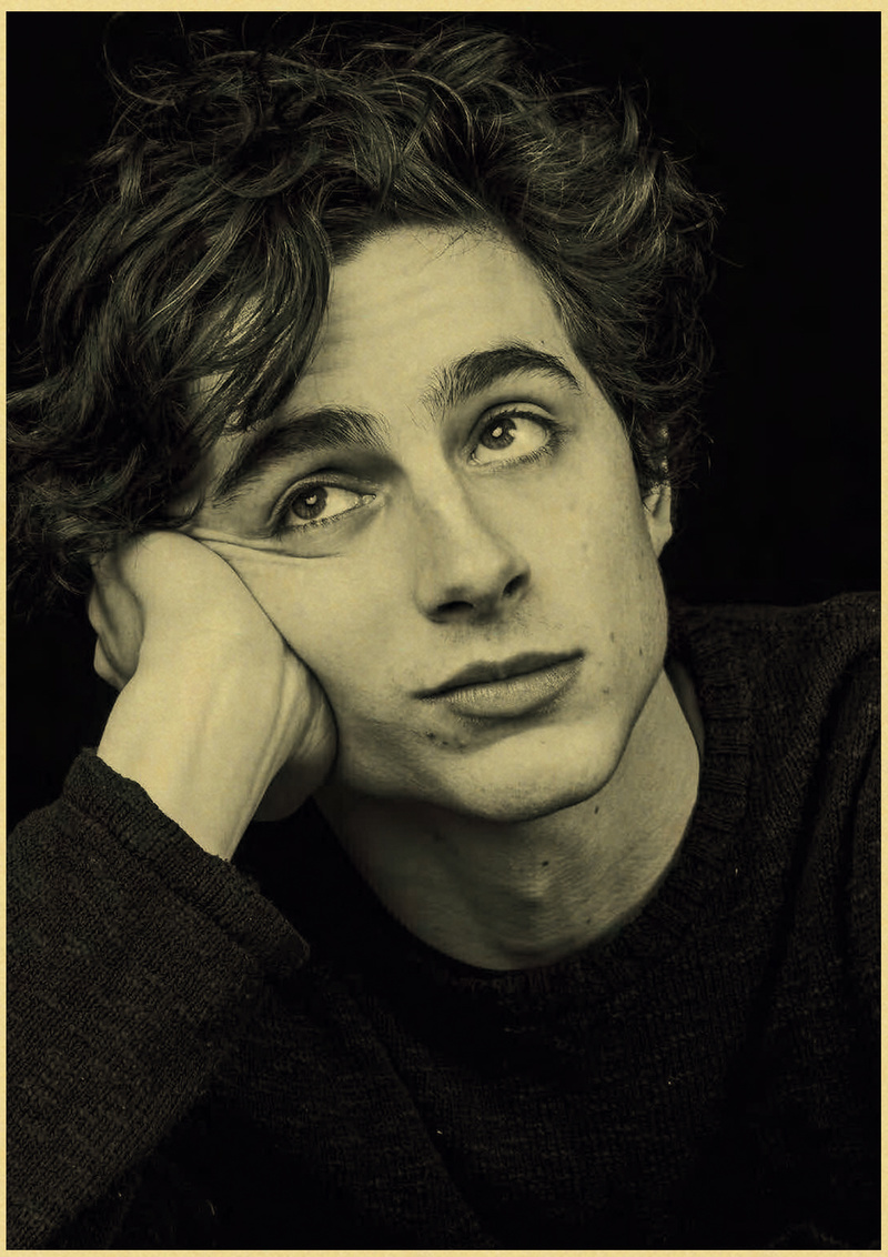 Timothee Chalamet Retro Canvas – Home Bar And Theater recenzja i cena